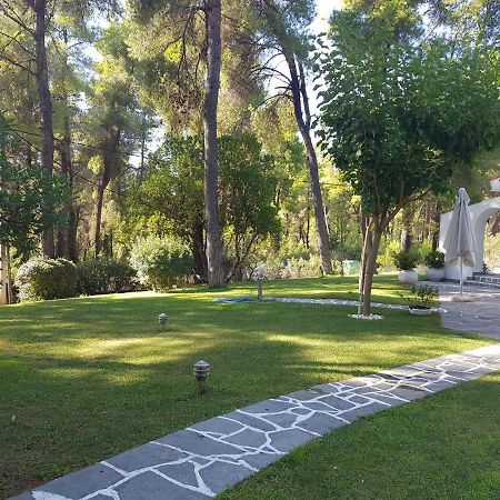 Sani Villa Christy מראה חיצוני תמונה