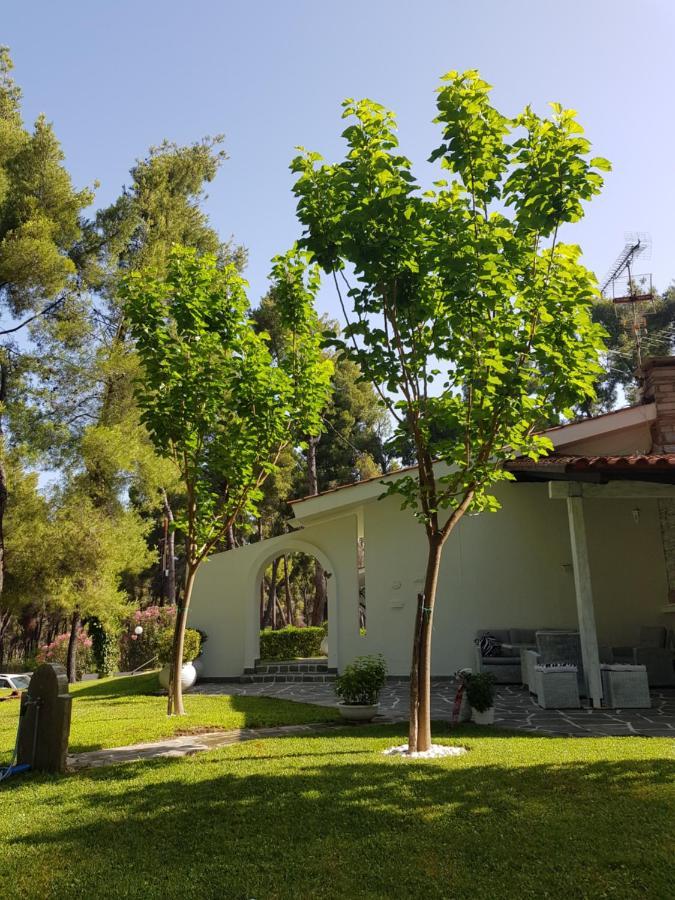 Sani Villa Christy מראה חיצוני תמונה